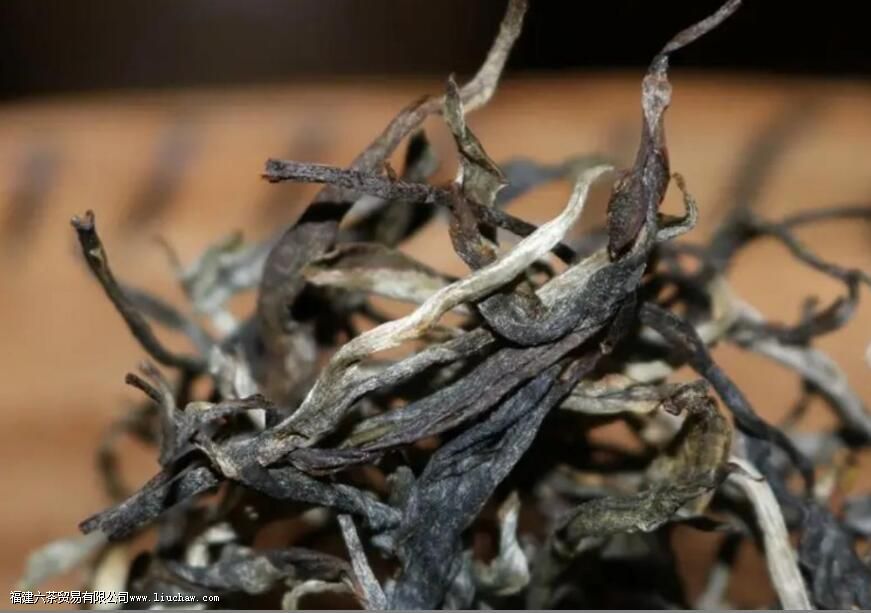 ������������Щɽ