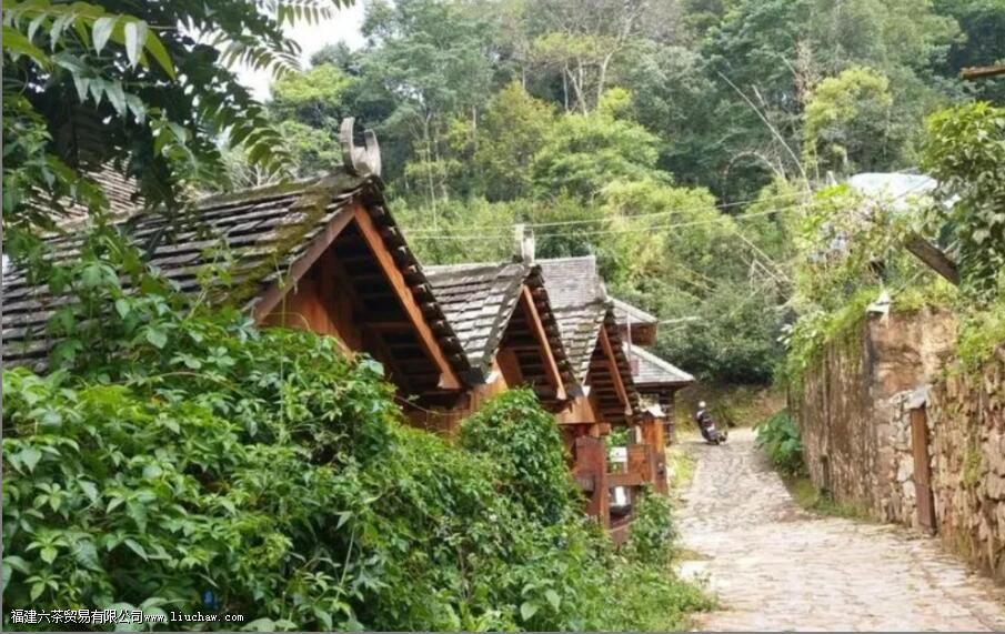 ������������Щɽ