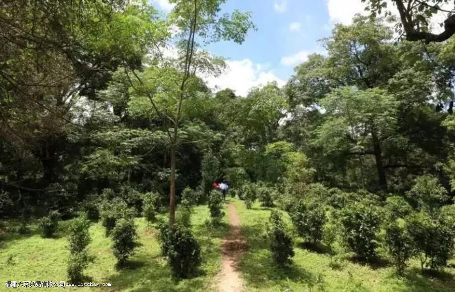 ������������Щɽ