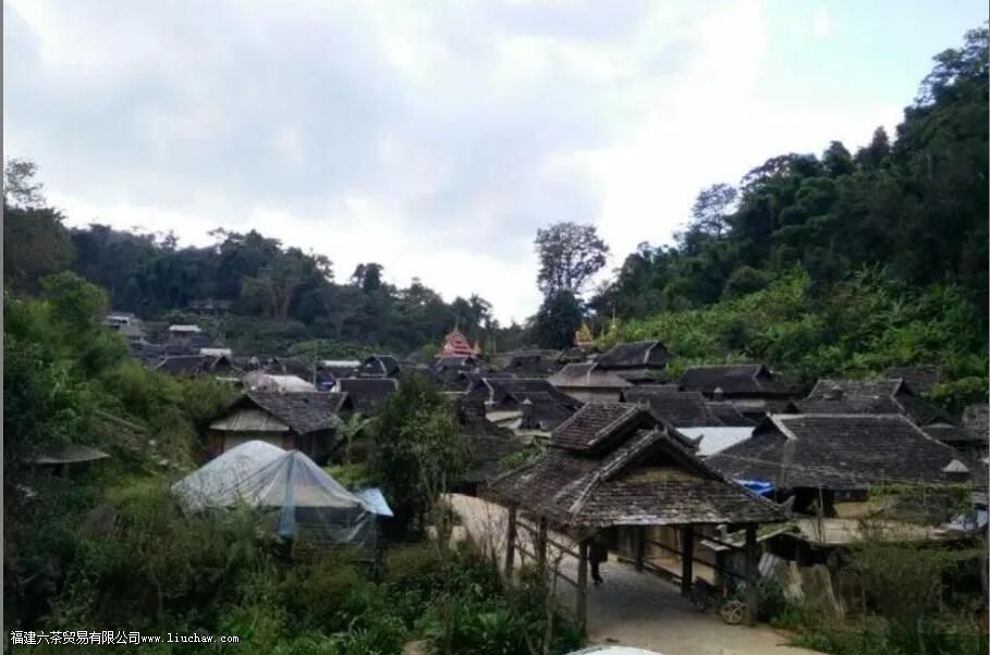 ������������Щɽ