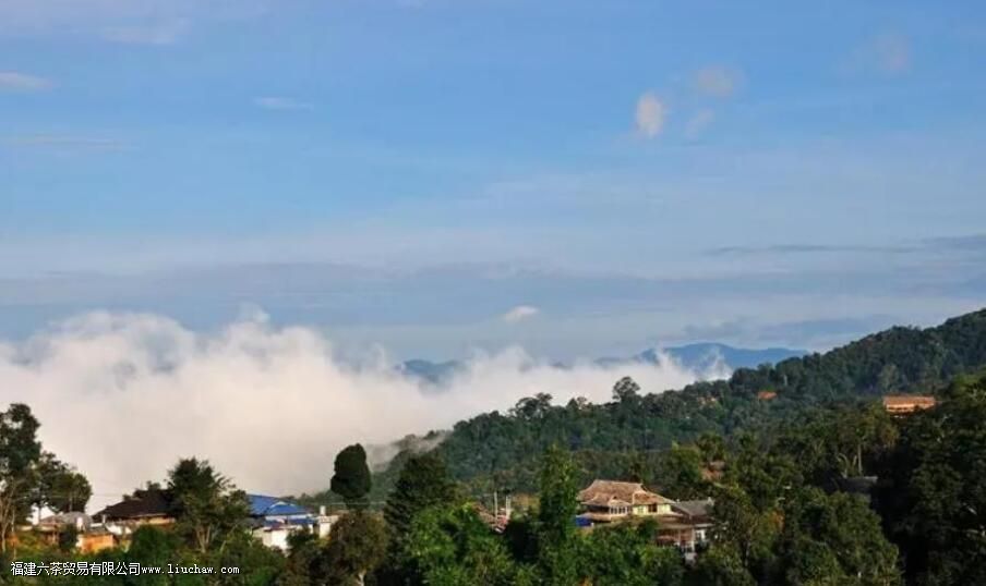 ������������Щɽ