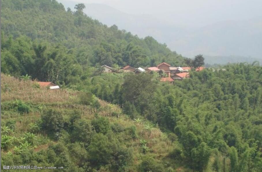 ������������Щɽ