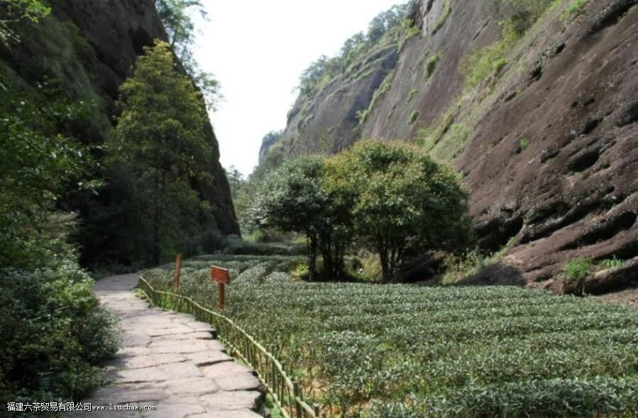 ����������ص�