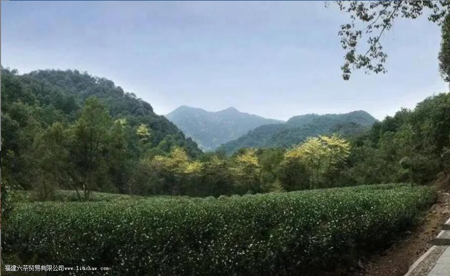 ������÷��ʲô������Щ�ص�