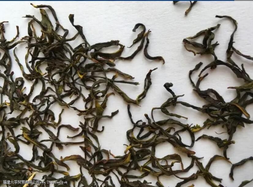 锯朵仔是什么茶有哪些特点 锯朵仔是什么茶有哪些特点