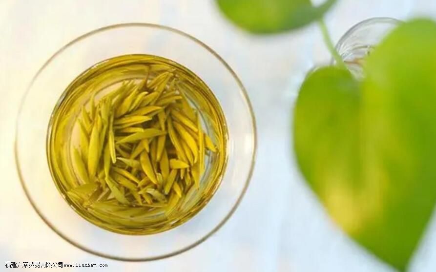 ��ɽ�����ζ��