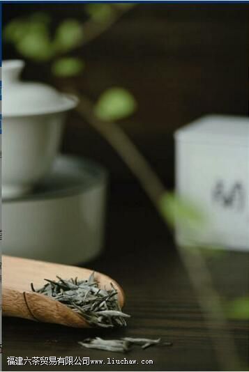 兰花雪竹茶是什么茶 兰花雪竹茶是什么茶