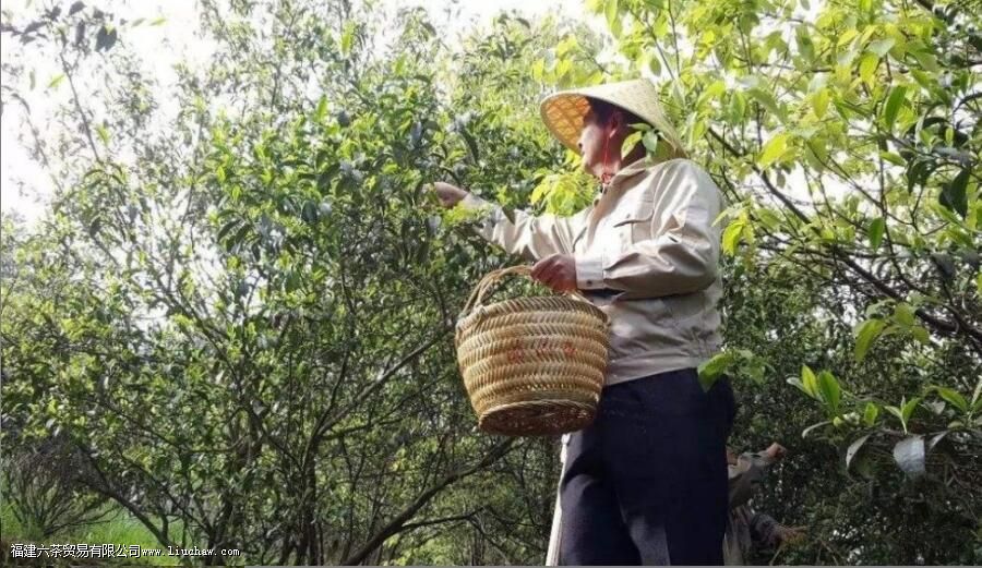 �ϰײ��ɽҰ���к�����