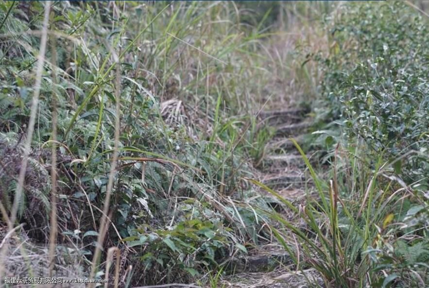 �ϰײ��ɽҰ���к�����