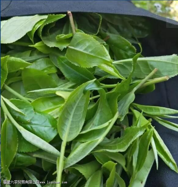 �ϰ��²�ͱ����������