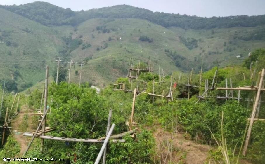 �ϰ��²�ͱ����������