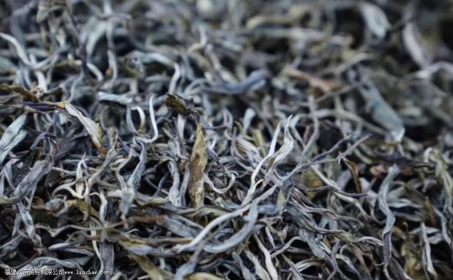 �ϰ��������ն�����