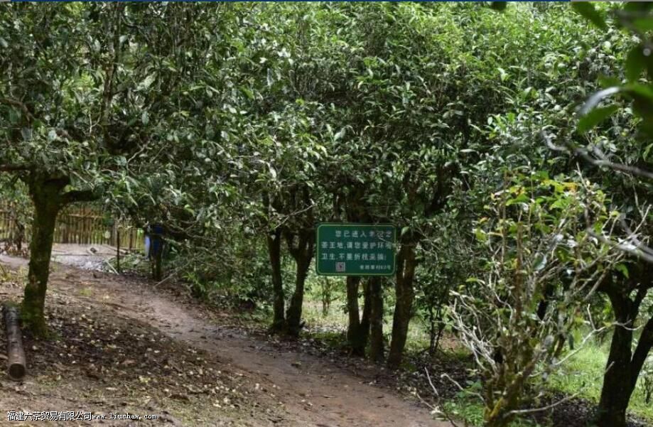 �ϰ��������ն�����