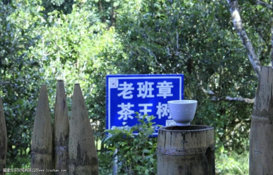 �ϰ��������ն�����