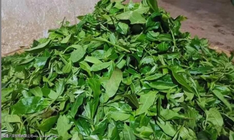 ��ˮ���ն�����ص�