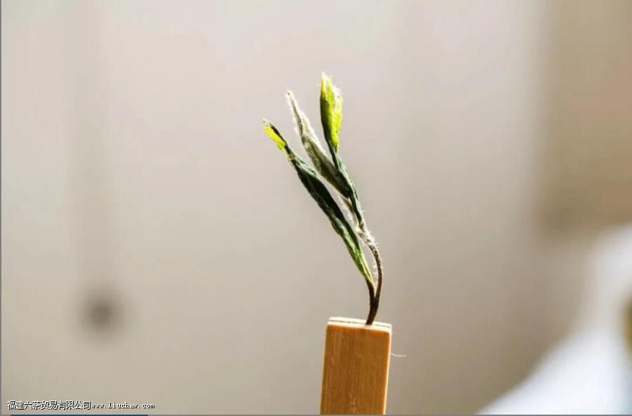 �����ؼ��ʣ����岻ͬ��ݰײ����ѡ��·