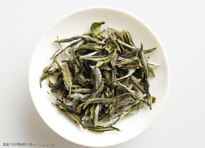 �����ؼ��ʣ����岻ͬ��ݰײ����ѡ��·