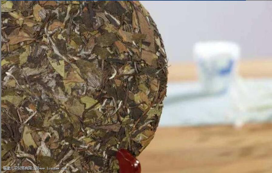 �����ؼ��ʣ����岻ͬ��ݰײ����ѡ��·