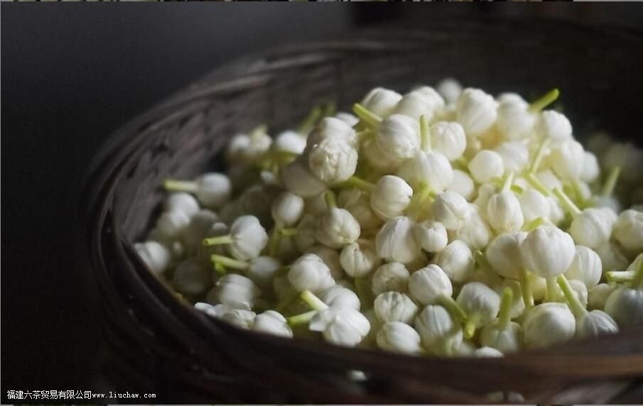 林湖飘雪是什么茶 林湖飘雪是什么茶