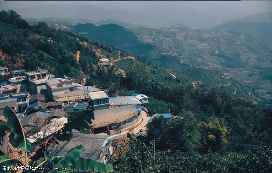 �ٲײ衰������ͷ�������������飬3200����棬�������������