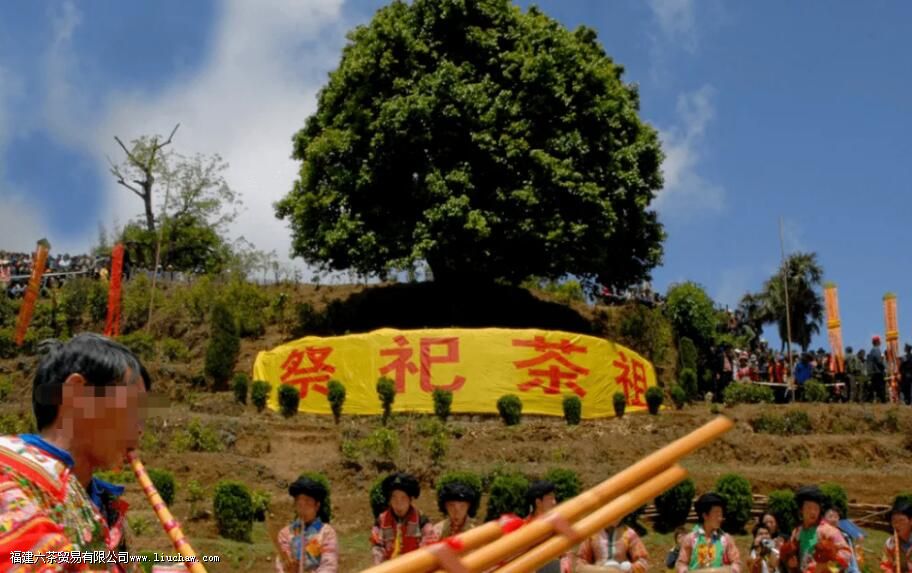 �ٲײ衰������ͷ�������������飬3200����棬�������������