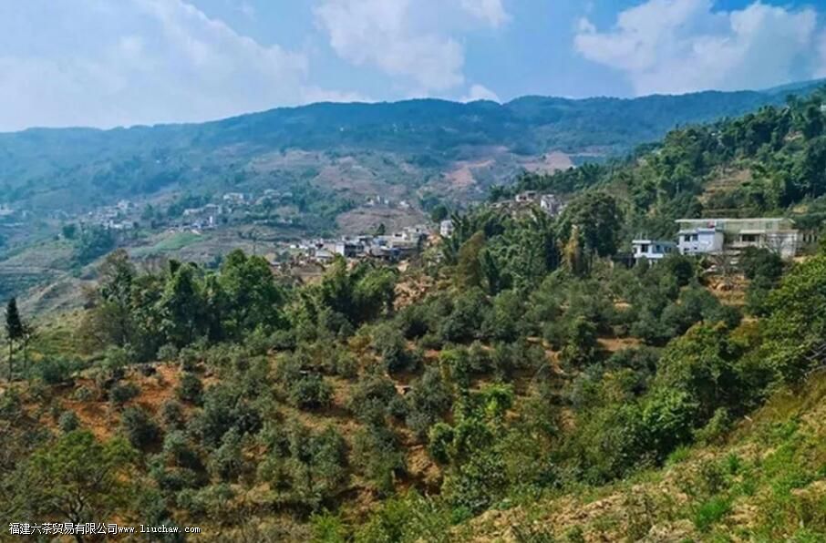 �ٲײ衰������ͷ�������������飬3200����棬�������������