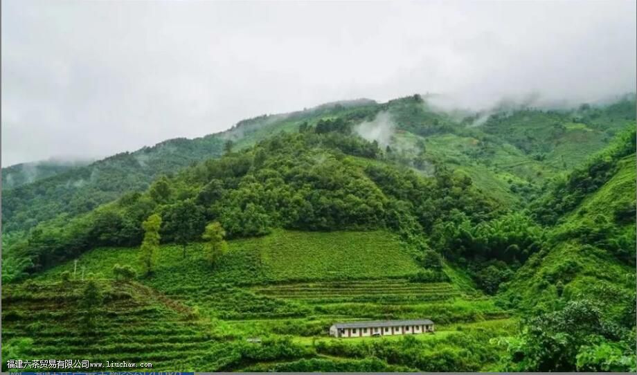 �ٲײ衰������ͷ�������������飬3200����棬�������������