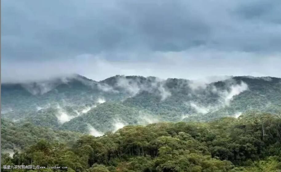 �ٲײ衰������ͷ�������������飬3200����棬�������������