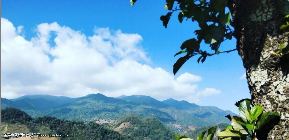 �ٲײ衰������ͷ�������������飬3200����棬�������������