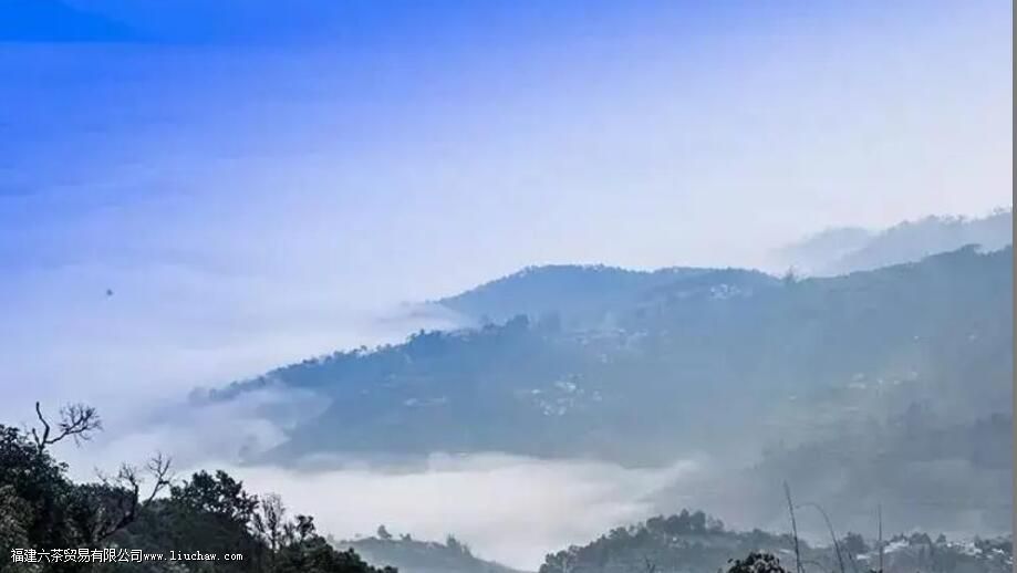 �ٲײ衰������ͷ�������������飬3200����棬�������������