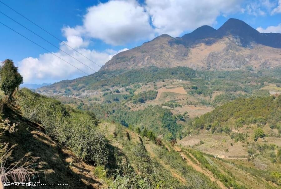 �ٲײ衰������ͷ�������������飬3200����棬�������������