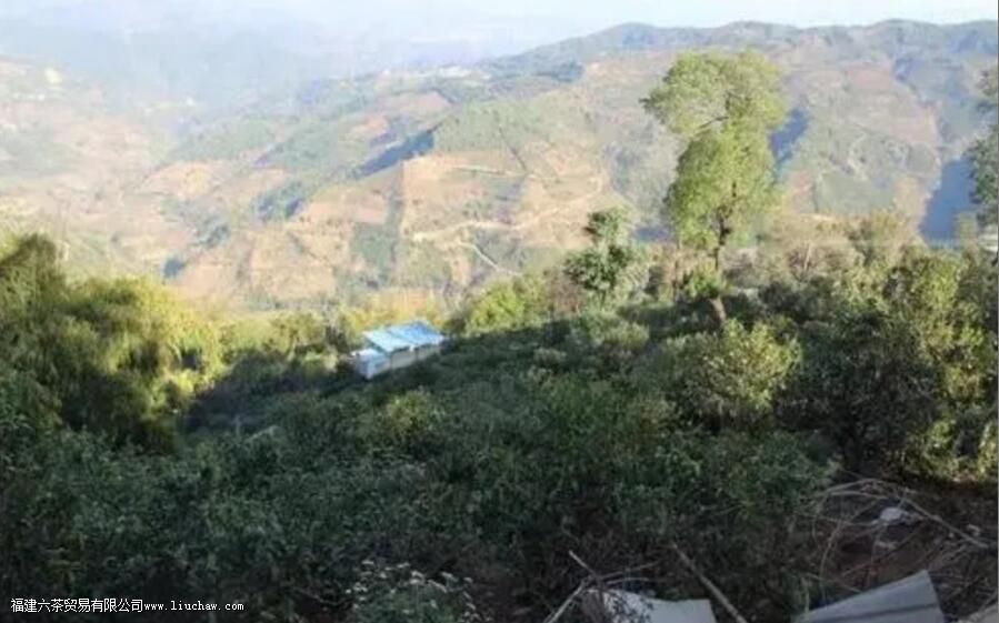 �ٲ״�ѩɽ��������ص�