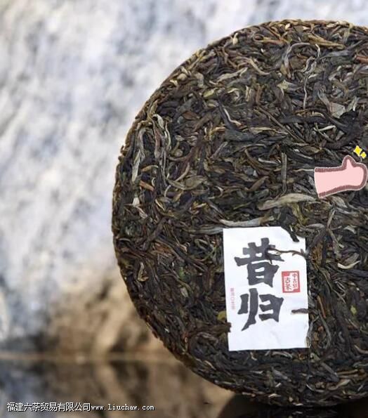 临沧四小龙指的是哪些茶叶山头 临沧四小龙指的是哪些茶叶山头