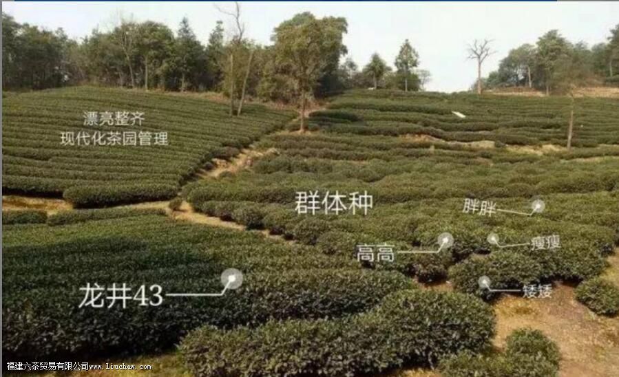 ����43���ϲ��������