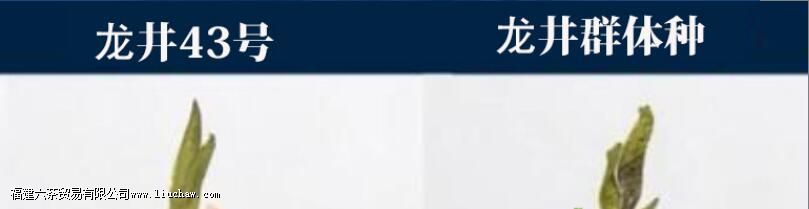 ����43���ϲ��������