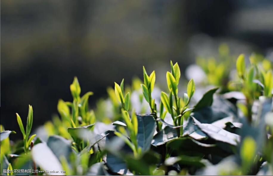 ���������������Щ