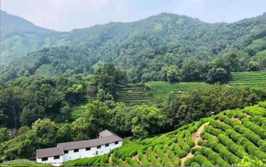 ���������������Щ