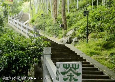 龙井茶二级和三级的区别 龙井茶二级和三级的区别