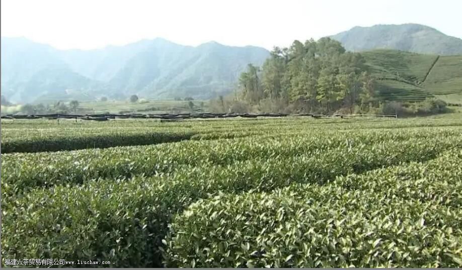 ¤���������ص���ʲô