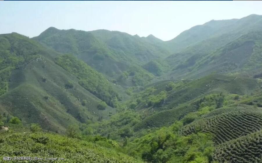 �̲�������ǣ�������ʲôԭ�� ��Ʒ���̲����ɫӦ������