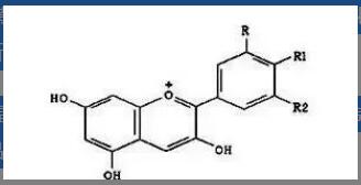 �̲�������ϸ˵������ɫ�γ�ԭ��