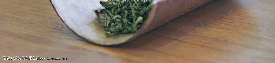 绿茶名字有哪些 绿茶名字有哪些