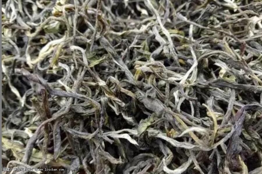 绿茶名字有哪些 绿茶名字有哪些