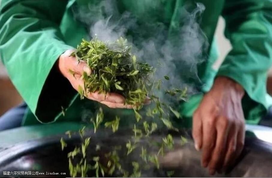 绿茶与红茶有什么不一样 绿茶与红茶有什么不一样