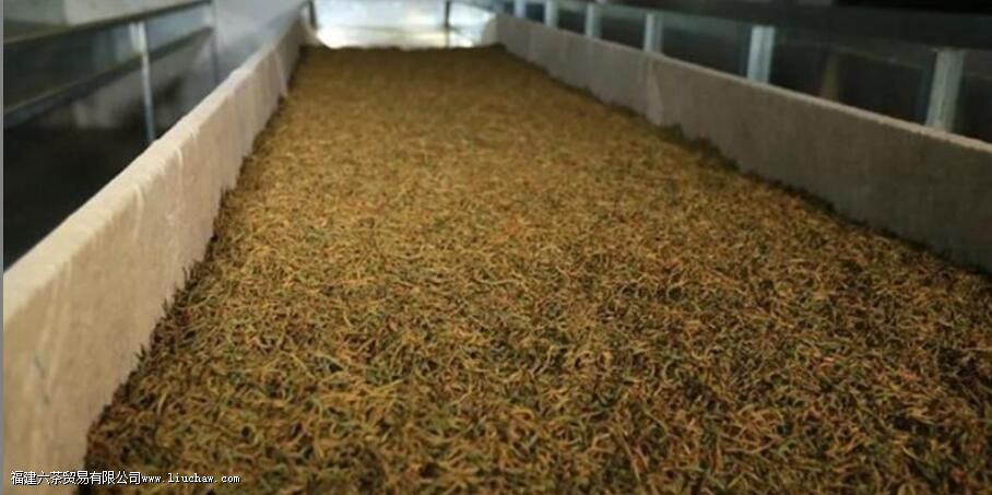 绿茶与红茶有什么不一样 绿茶与红茶有什么不一样