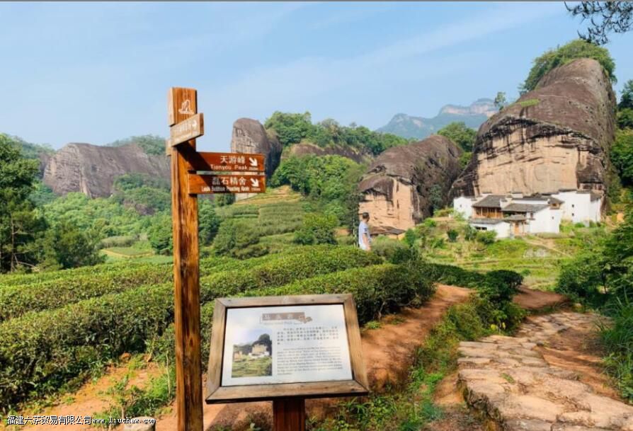 ����ţ��ָ����ʲô��