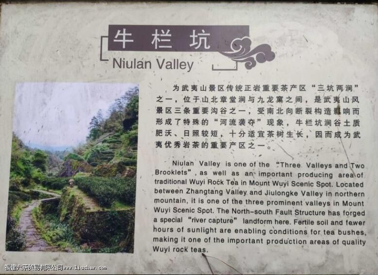 ����ţ��ָ����ʲô��