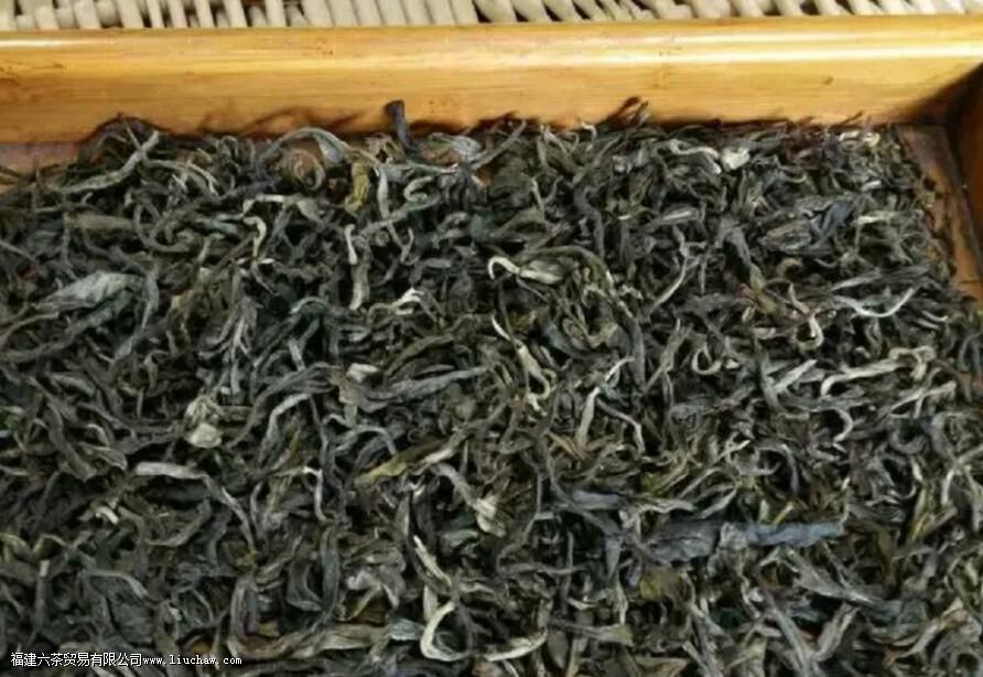 蚂蝗箐普洱茶的特点 蚂蝗箐普洱茶的特点