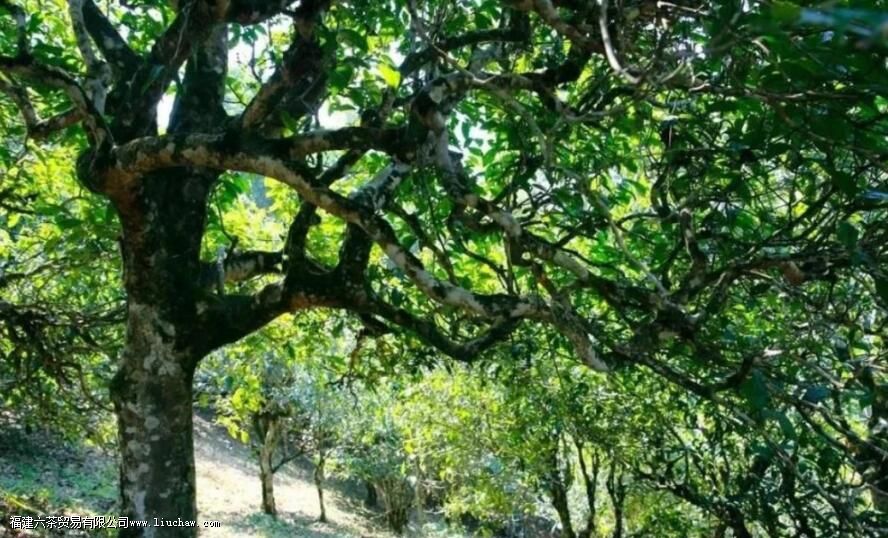 ���������ն�����ص�