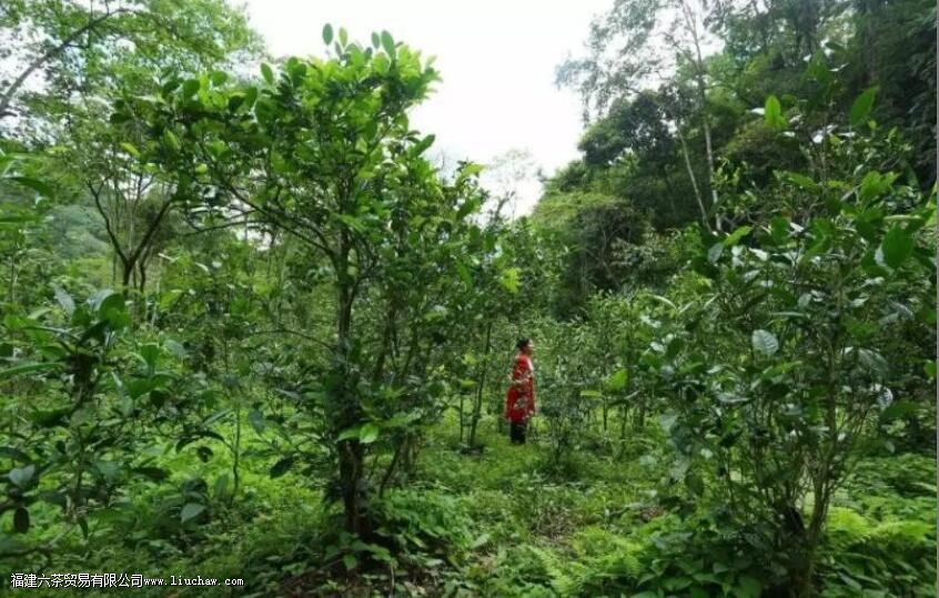 ���������ն�����ص�